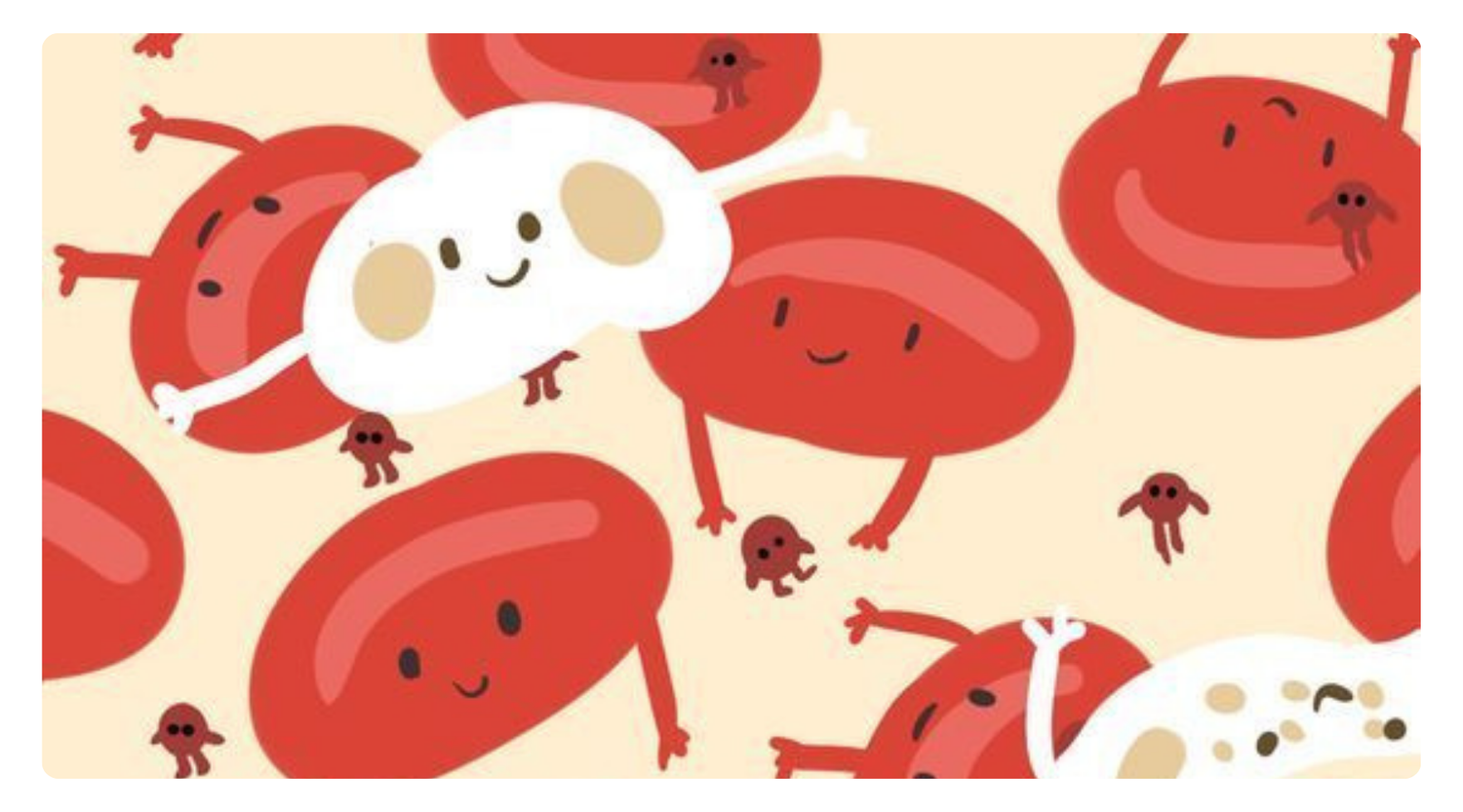 Good Haemoglobin Doesn’t Always Mean Your Iron Levels Are Optimal