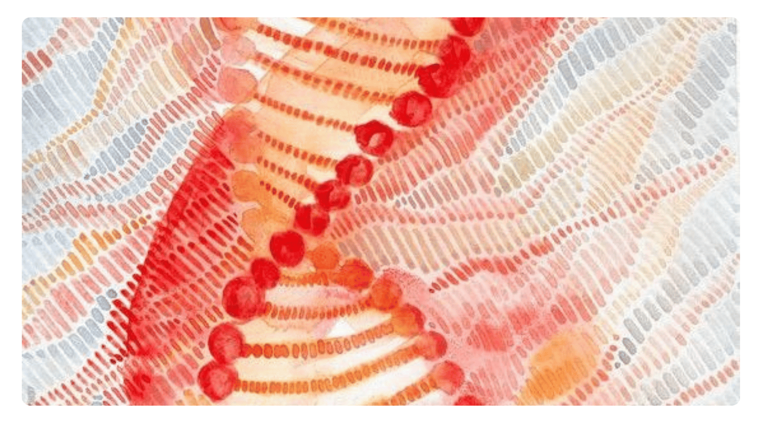 The Future of Absorption: Why Liposomal Technology is Changing Wellness