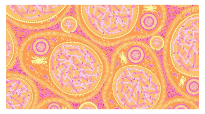 Discover Roz Liposomal Iron — a gentle, high-absorption iron supplement for Indian women. Powered by liposomal technology, it boosts energy, focus, and immunity without nausea or constipation. Designed for vegetarian diets and sensitive stomachs.