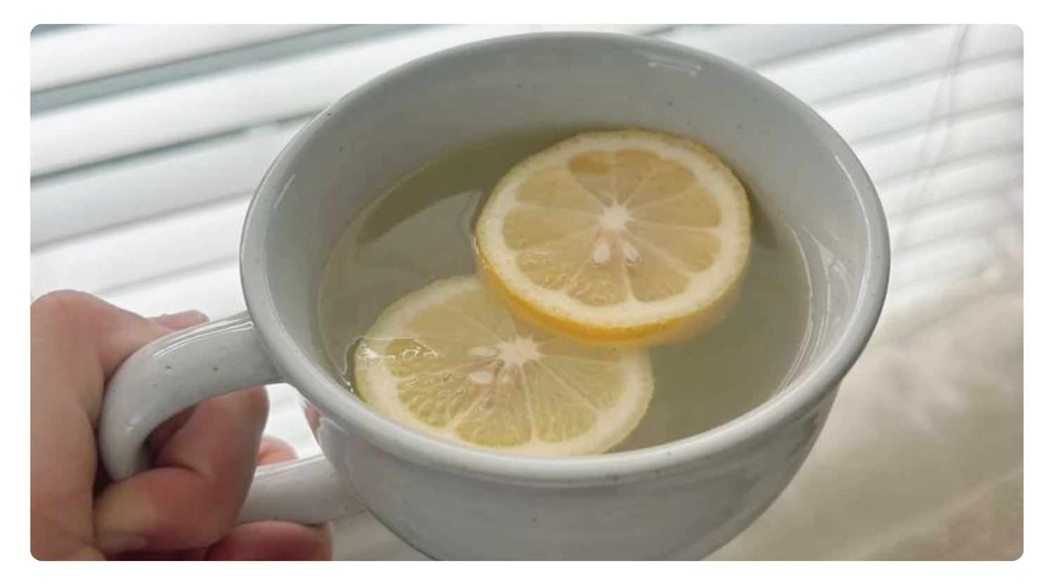 The Link Between Your Gut Health and Energy Levels